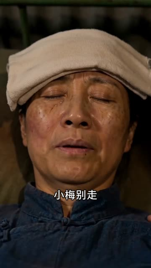 远赴西北，绽放半生锋芒（59集）好看的短剧