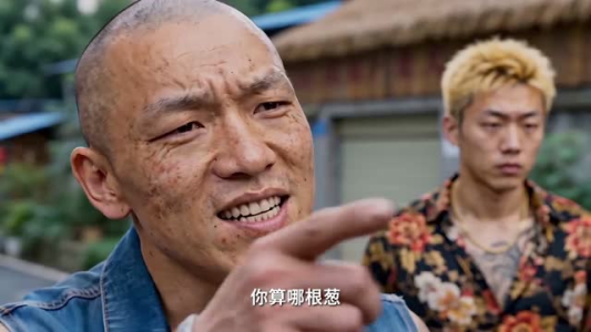 跨过山海等风起(24集) 跨过山海等风起(24集)短剧全集免费