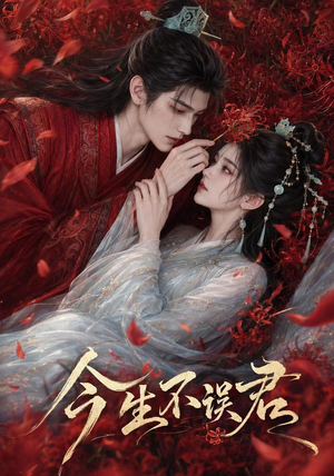 今生不误君(106集) 今生不误君(106集)全集我都看完了
