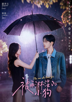 被雨淋湿的小狗(80集) 被雨淋湿的小狗(80集)80到100集