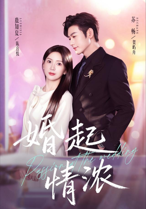 婚起情浓（99集）西瓜短剧免费看