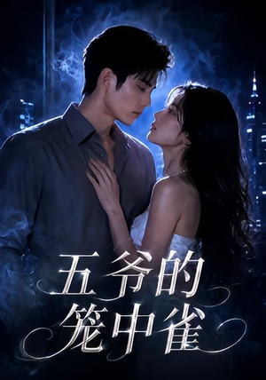 五爷的笼中雀（72集）剧情简介