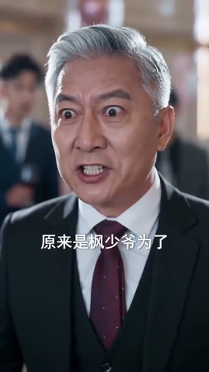穿书后我凭自身掌风云（78集）追短剧看全集