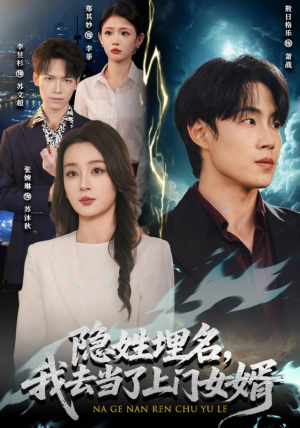 隐姓埋名，我去当了上门女婿（80集）无需会员免费看