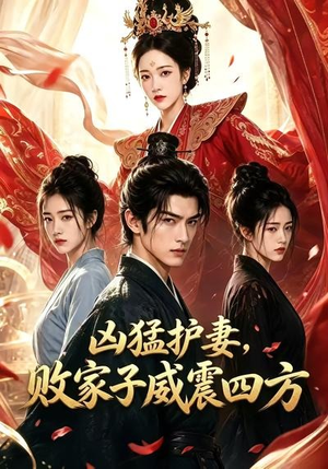 凶猛护妻，败家子威震四方（85集）不用花钱看全剧