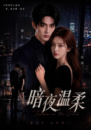 暗夜温柔(25集) 暗夜温柔(25集)百度网盘在线看