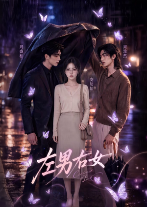 左男右女（63集）爆款短剧抢先看