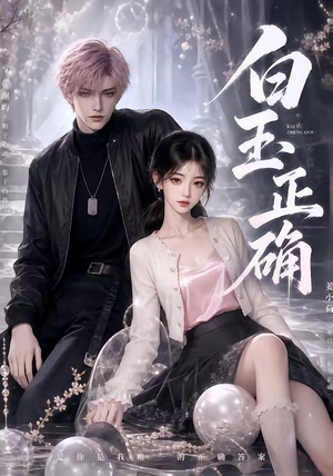 白玉正确（41集）在线免费观看
