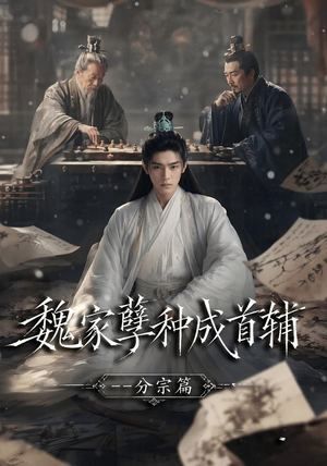 魏家孽种成首辅分宗篇（89集）全集一次看完