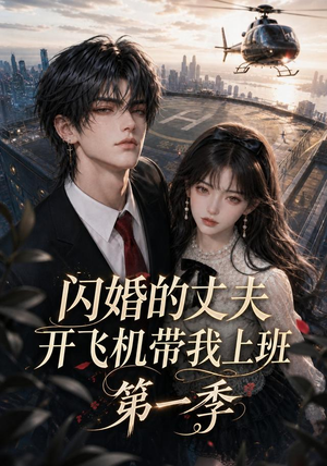 闪婚的丈夫开飞机带我上班第一季（91集）热门短剧在线看