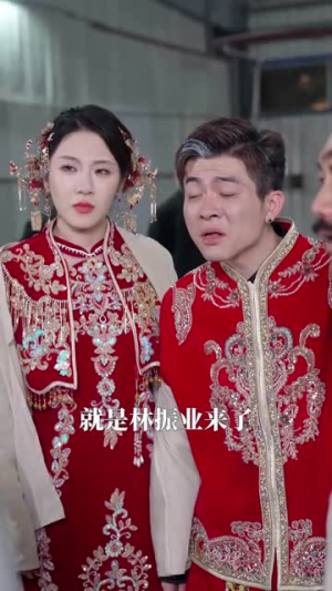 龙凤呈祥：狂潮（55集）全季一次看完