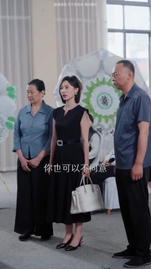 含辛十八载，我的婆家全是假的（58集）免费观看就是爽