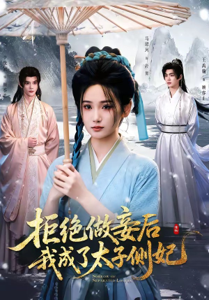拒绝做妾后我成了太子侧妃＆一纸离人愁（89集）百度网盘资源