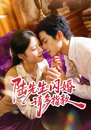 陆先生闪婚请多指教（53集）在线观看全集