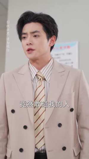 陆先生闪婚请多指教（53集）好看上头短剧