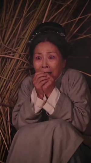 十里红妆不嫁状元嫁傻王（103集）熬夜追短剧