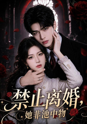 禁止离婚，她非池中物（144集）追短剧看全集