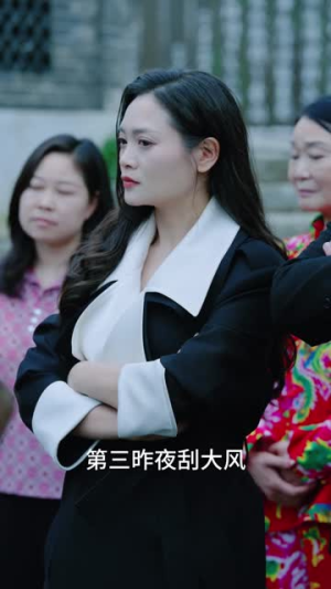 特工姐妹闯入农村破奇案（57集）精彩短剧看全集