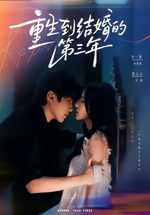 重生到结婚的第三年(73集) 重生到结婚的第三年(73集)免费热门短剧