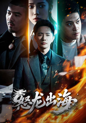 怒龙出海（71集）在线免费观影