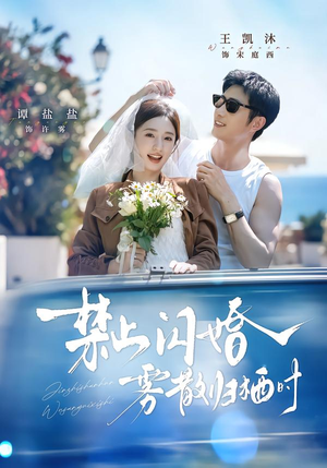 禁止闪婚，雾散归栖时（66集）短剧在线更新