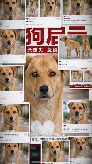 功德客服部(60集) 功德客服部(60集)短剧太好看