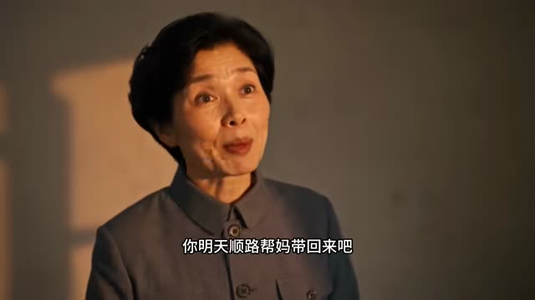 相逢在大院(91集) 相逢在大院(91集)番茄免费短剧