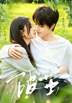 破茧（76集）红果免费看短剧