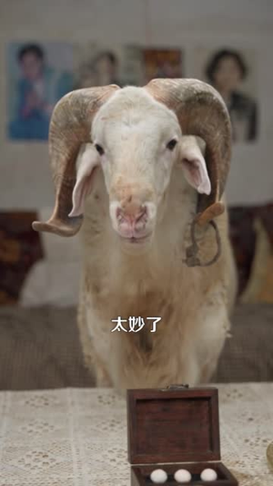 别惹那只猫,她刚从仙界回来(97集) 别惹那只猫,她刚从仙界回来(97集)一口气看完全集