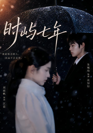 时屿七年（61集）热门短剧在线看