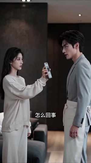 四爷，夫人她马甲满天飞（100集）高清画质免费看