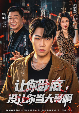 让你卧底,没让你当大哥啊(80 集) 让你卧底,没让你当大哥啊(80 集)免费观看