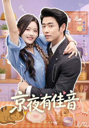 京夜有佳音(68 集) 京夜有佳音(68 集)在哪里可以全集