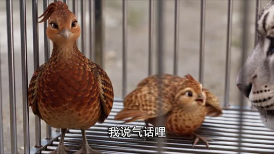 兽语饲养员：我家不养闲宠 （83集）全集免费观看