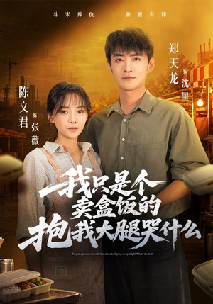 我只是个卖盒饭的抱我大腿哭什么（40 集）看到大结局